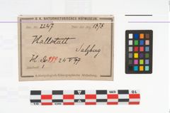 Etikett zu Kragenrandgefäß (NHMW-PRAE-002247)